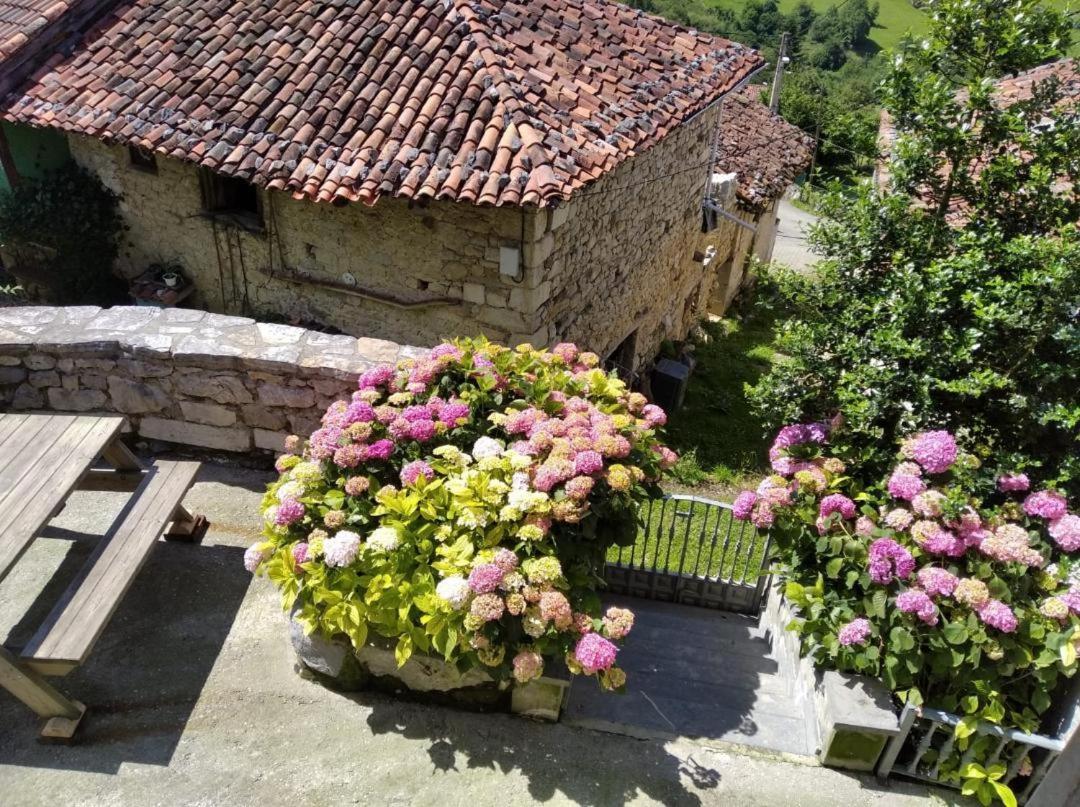 La Xiana Konuk evi Taranes Dış mekan fotoğraf